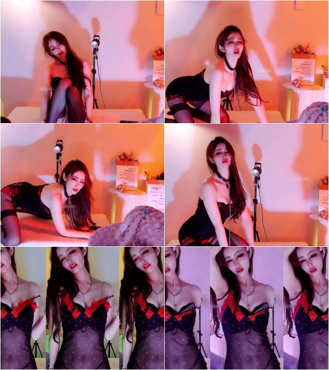 【网易CC】漫妮付费群定制（2v）